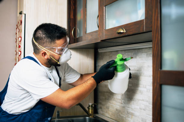 Best Pest Removal Services  in Paramus, NJ
