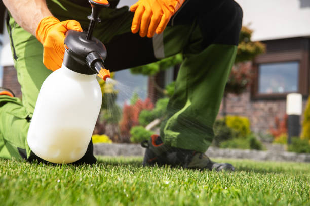 Best Flea Control Services  in Paramus, NJ