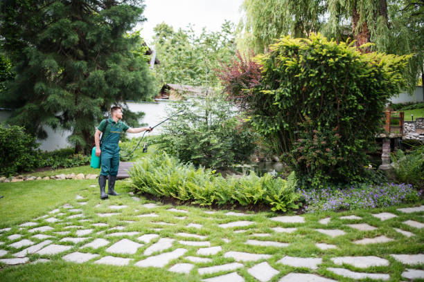 Best Wasp Removal Services  in Paramus, NJ