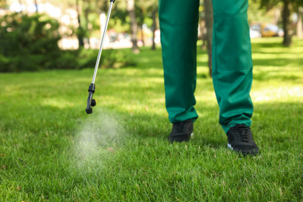 Best Best Pest Control Companies  in Paramus, NJ