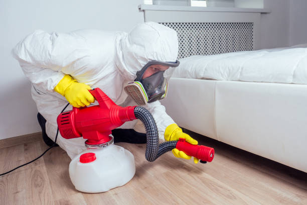 Wildlife Control Services in Paramus, NJ