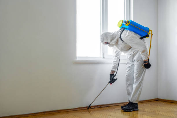 Best Insect Control  in Paramus, NJ