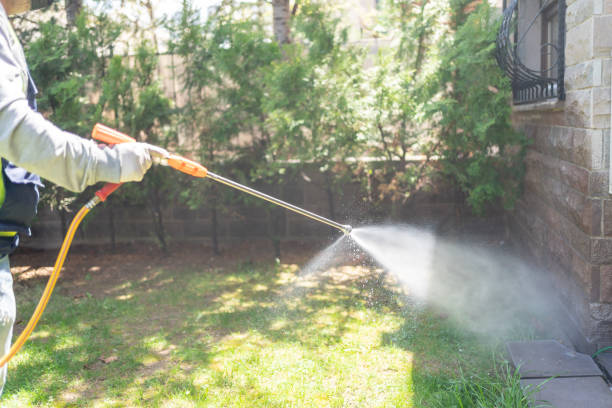Best Bed Bug Extermination  in Paramus, NJ