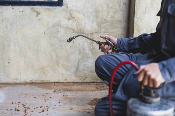 Best Pest Prevention Services  in Paramus, NJ